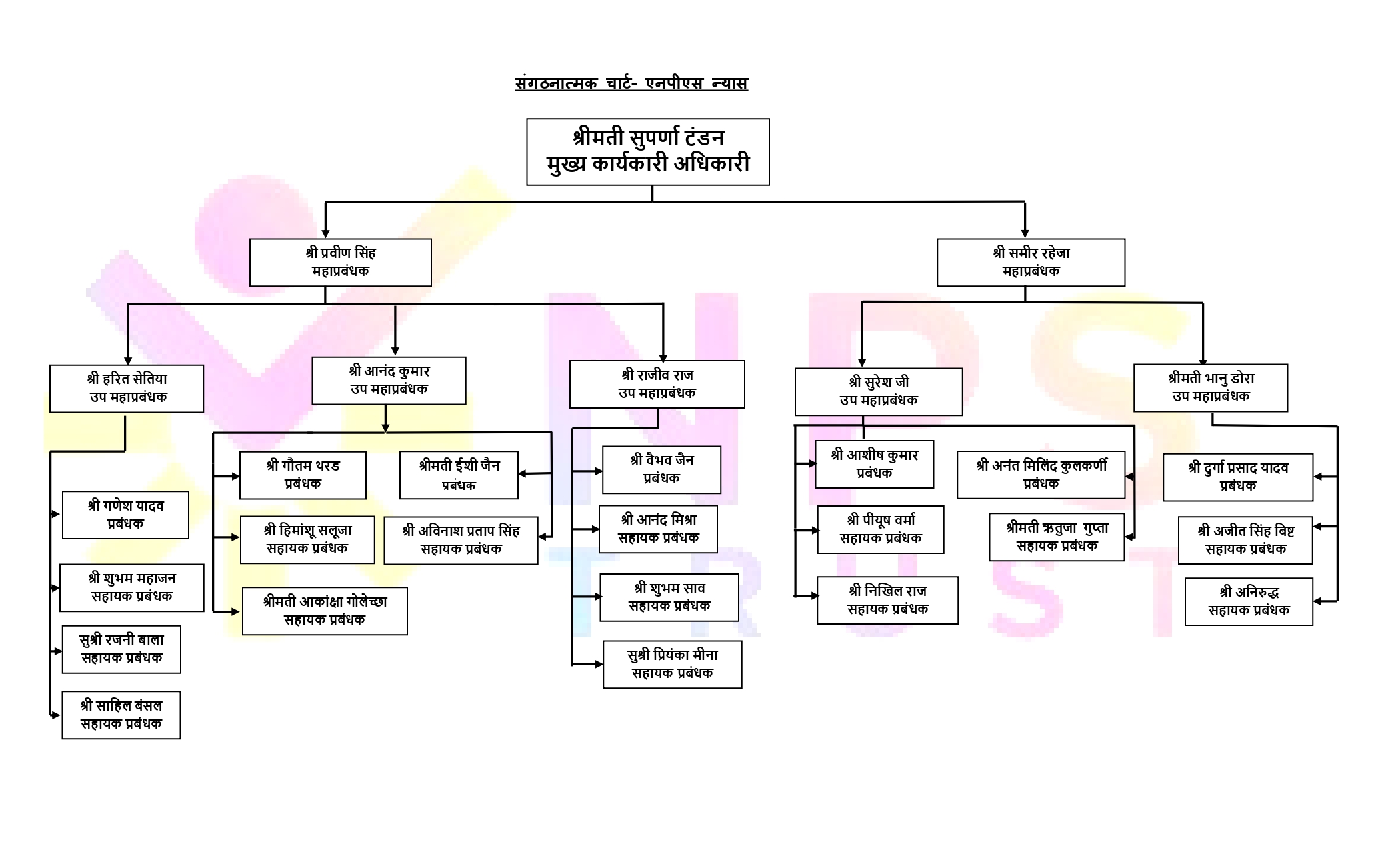 Organogram