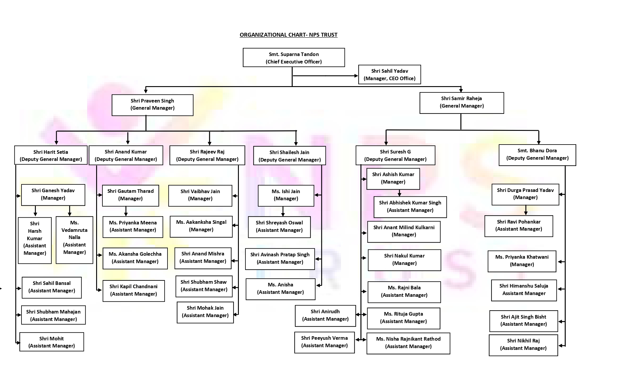 Organisation Chart
