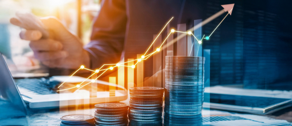 Portfolio Objectives